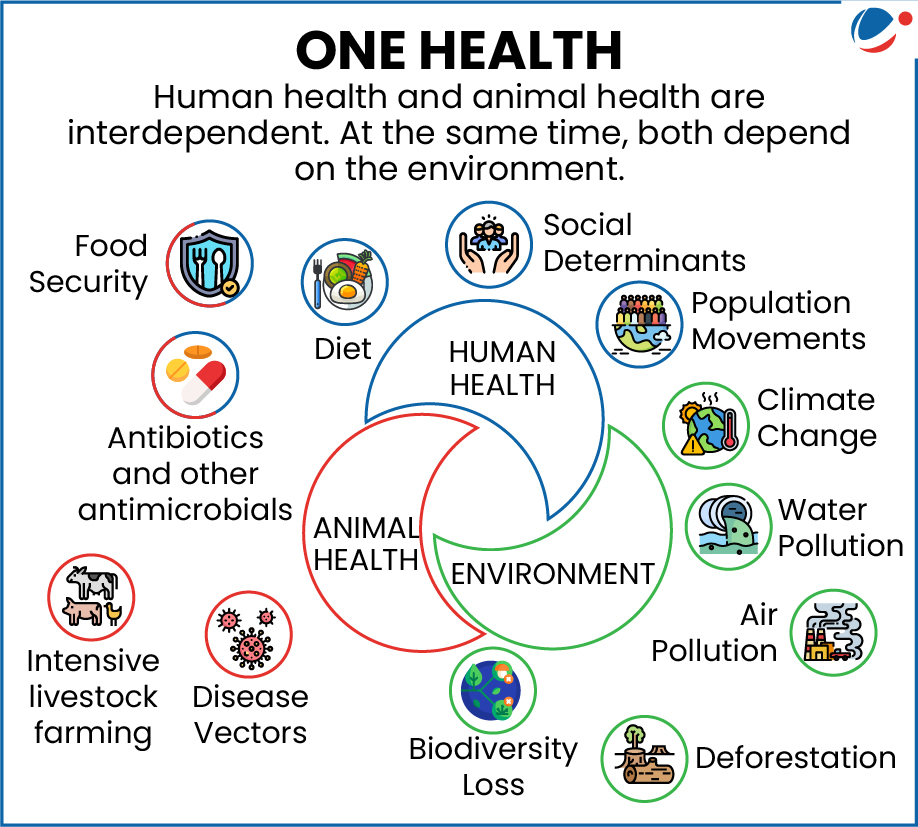 National One Health Mission: झारखण्ड में पशुओं से इंसानों में फैलने वाली बीमारियों पर रहेगी पैनी नजर